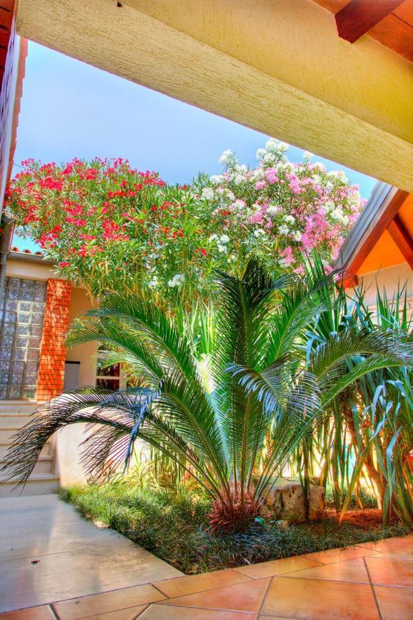 Apartments Petra Near Beach Veruda Exterior photo